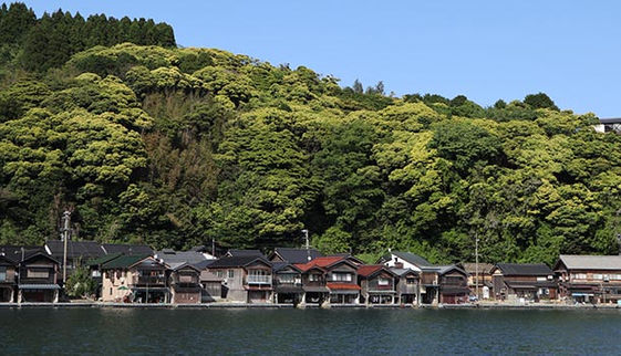 梅花藻 搜尋結果 大人社團 與你一起實踐美好生活