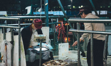 駐島計畫：島內散步@樂活島　城市入眠時，早已醒來的魚市場