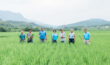 把米當鑽石賣！有機米成「農業台積電」，率百位農友年產3千噸稻米