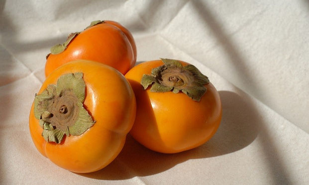 柿子吃太多小心腸胃阻塞 ２個對於大長今的飲食提醒 康健雜誌