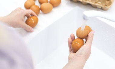 雞蛋要洗嗎？摸過蛋要洗手？毒物專家警告3狀況必丟