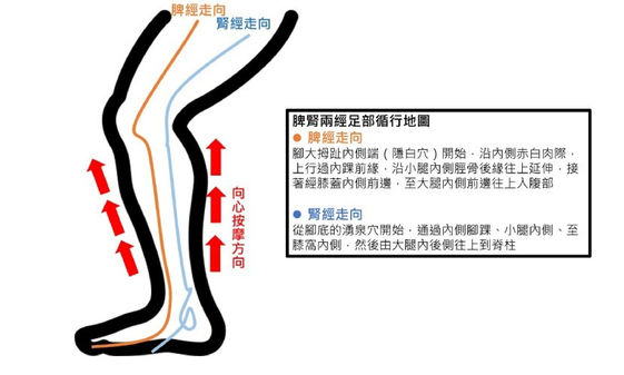 中醫產後消水腫 和大象腿說掰掰 康健雜誌