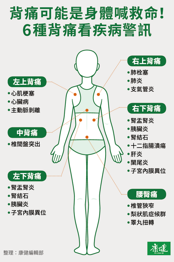 背痛位置看9大疾病 一圖解析背痛原因 5招舒緩背痛 康健雜誌