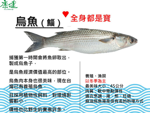 台灣人就該吃這１２種好魚 康健雜誌