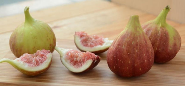 無花果嘗鮮季 早餐來杯無花果優酪乳 康健雜誌