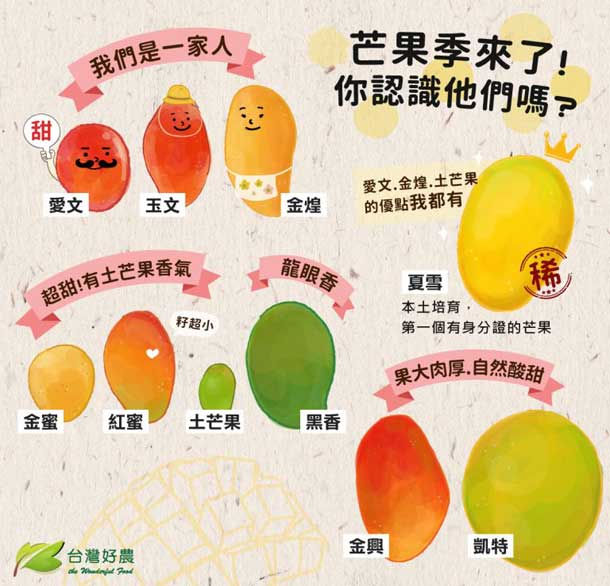 香港議員搶訂台灣 蜜雪芒果 愛文 玉文 夏雪 這些芒果你認識嗎 康健雜誌 香港議員搶訂台灣 蜜雪芒果 愛文 玉文 夏雪 這些芒果你認識嗎 康健雜誌