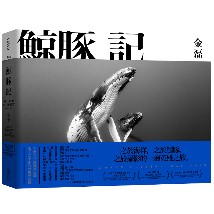 金磊-鯨豚-海豚-御藏島